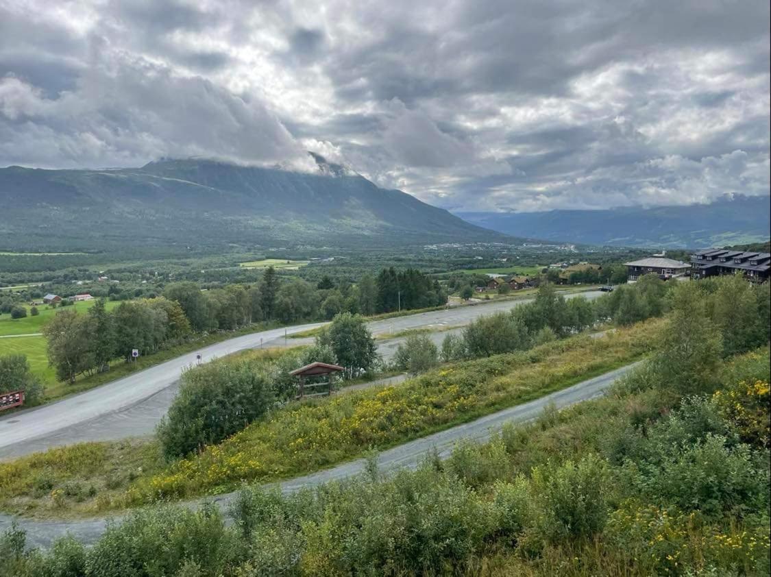 Privat Apartment With Beautiful View And Two Bedrooms Oppdal Dış mekan fotoğraf
